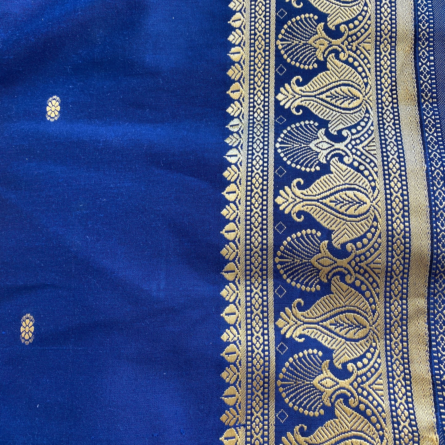 Sari & Gold Embroidered Curtains